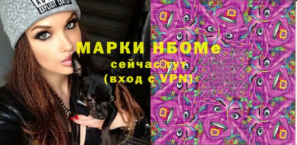 стафф Карпинск