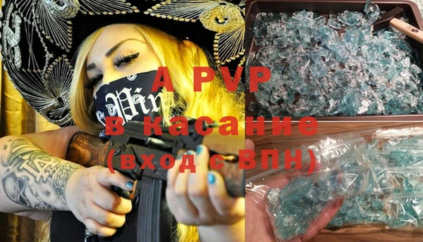 стафф Карпинск