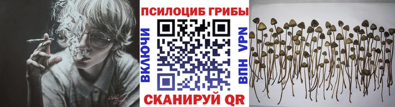 Псилоцибиновые грибы мицелий  Кольчугино 
