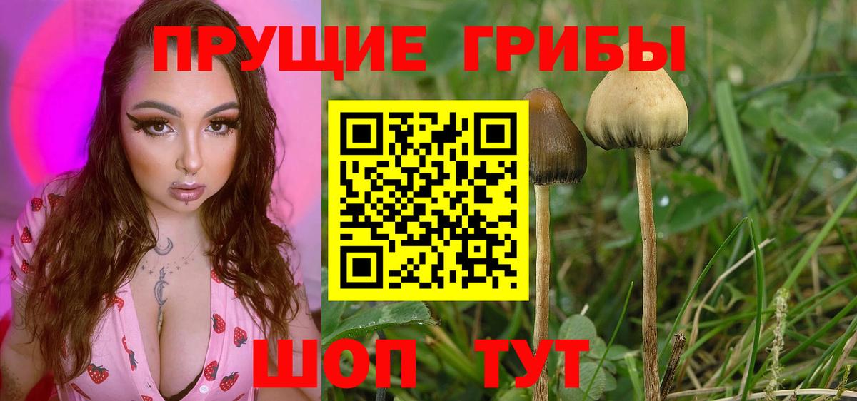 Галлюциногенные грибы MAGIC MUSHROOMS  Псилоцибиновые грибы мухоморы  Вход с VPN  Кольчугино 